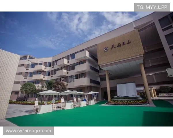 成都足球队选拔赛特别报道:从传统到现代的全面转型之路探秘