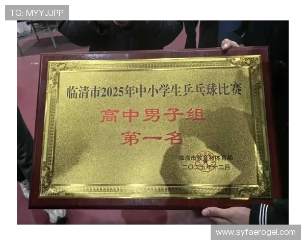 乒乓球团队协作实力大比拼杭州乒乓球队荣登第五名荣耀榜单